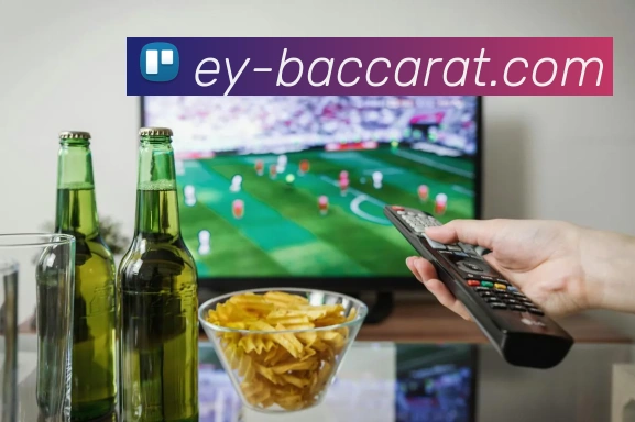 多媒体互动体验