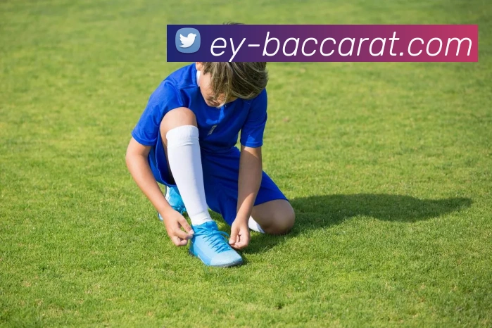 AG百家乐官网APP 高清赛事图